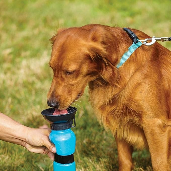 Portable Pet Water Bottle & Bowl – Aqua Fresh Sipper